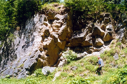 Kamieniołom Pod Capkami, ściana południowa. /fot. E. Jurewicz