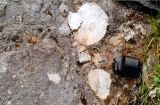 Dobrze obtoczone głaziki dolnojurajskich kwarcytów w piaskowcu dolomitowym eocenu w kamieniołomie Pod Capkami. /fot. E. Jurewicz