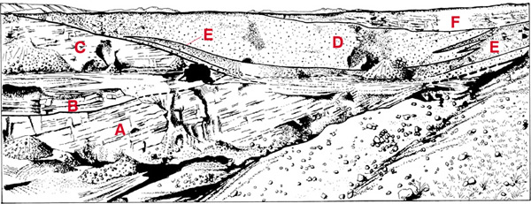 Kamienioom w Skotnikach. Stan z 1963 r. (rys. ze zdjcia [2]): A - wapienie muszlowcowe, grna jura (kimeryd); B - piaskowce glaukonitowe, grna kreda (cenoman); C - wapienie i opoki z czertami, grna kreda (turon); D - gazowisko, trzeciorzd (miocen); E - wapie piaszczysty, trzeciorzd ( miocen); F - wapienie organodetrytyczne i litotamniowe, trzeciorzd (miocen)