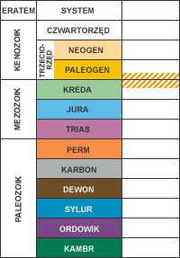 Nasiw - uproszczona tabela stratygraficzna.