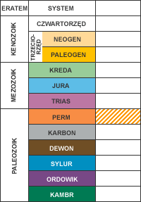 Zygmuntwka - uproszczona tabela stratygraficzna.